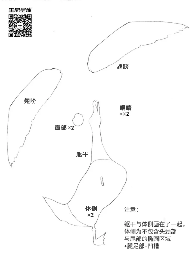“为爱舞蹈的信天翁”模型图纸